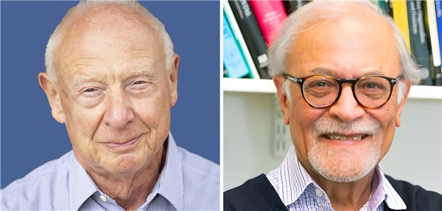 Paul Ehrlich- und Ludwig Darmstaedter-Preis für Davor Solter und Azim Surani Ein 3D-Modell einer DNA