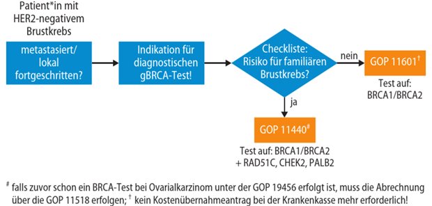 Diagnostische gBRCA-Testung ist die Basis der Therapieentscheidung Abb. 1: Algorithmus zur diagnostischen gBRCA-Testung