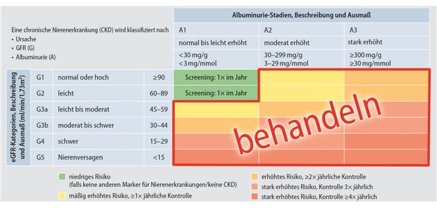Frühe Diagnostik und leitliniengerechte Risikosenkung Abb. 1: Empfohlene Messfrequenz von geschätzter glomerulärer Filtrationsrate (eGFR) und Urin-Albumin-Kreatinin-Verhältnis (UACR) sowie Therapieindikation