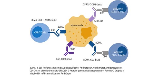Ebnet die Präzisionsmedizin den Weg zur funktionellen Heilung dieser Neoplasie? Abb. 1: Schematische Wirkprinzipien verschiedener immuntherapeutischer Ansätze beim Multiplen Myelom