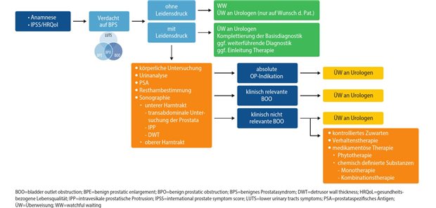Wie das BPS in der Hausarztpraxis gut gemanagt werden kann Abb. 2: Algorithmus für den Hausarzt: Diagnostik und Therapie des benignen Prostatasyndroms