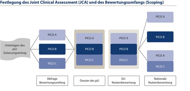 Abbildung 3: Zu Beginn des JCA erfolgt eine Abfrage der Anforderungen der Mitgliedstaaten bezüglich des Bewertungsumfanges. Die von den Mitgliedstaaten eingereichten PICOs werden anschließend in einem aufwändigen Prozess konsolidiert und dem pU kommuniziert.