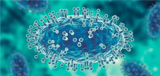 Affenpocken-Virus: Der aktuelle Ausbruch lässt sich begrenzen, wenn Infektionen rechtzeitig erkannt und Vorsichtsmaßnahmen umgesetzt werden.