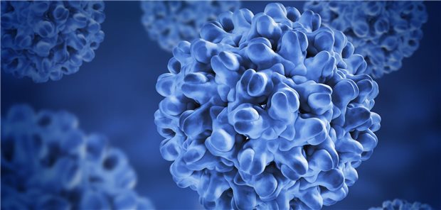 Hepatitis-Screening: noch zu wenig bekannt Am 28. Juli ist Welt-Hepatitis-Tag.