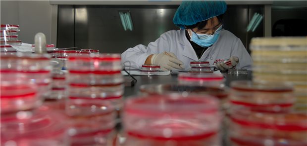 Antibiotika und Kinderarzneien sollen speziell gefördert werden Antibiotikaforschung und -produktion findet überwiegend außerhalb Westeuropas statt. Unser Bild zeigt eine Forschungsstätte in China. Gesundheitsminister Lauterbach will mit finanziellen Anreizen gegensteuern.