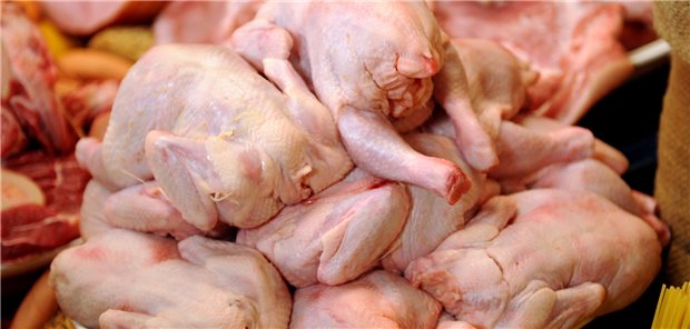 Harnwegsinfektionen – auch eine Frage der Lebensmittelsicherheit? Auf Hühnchen- und Truthahn-Fleisch waren in einer Studie extraintestinal pathogene E.coli (ExPEC) nachweisbar.