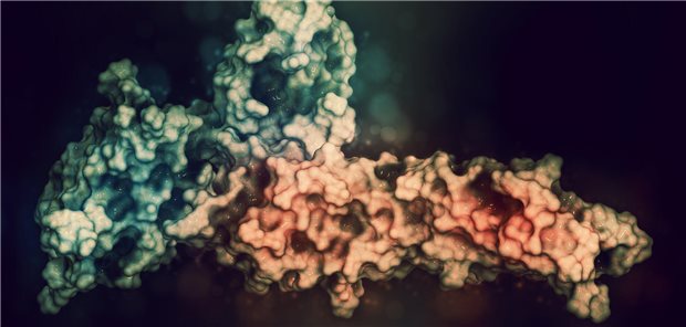 Bei höhergradigen irAE der CPI-Therapie (Grad =3) und bei steroidrefraktären Nebenwirkungen wird eine interdisziplinäre Zusammenarbeit empfohlen. (Symbolbild)