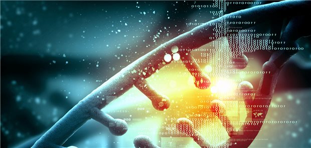 Bei zwei Dritteln der bisher in das Modellprojkt aufgenommenen Patienten wurde eine Ganzgenom-Sequenzierung vorgenommen.