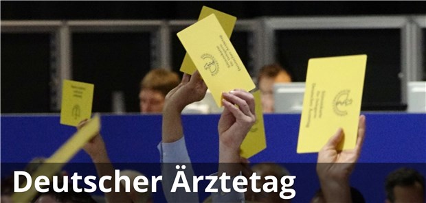 Parlament der Berufspolitik