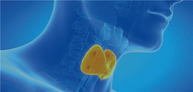 Herausforderungen, Therapieziele und -optionen bei Parathormon-Mangel Herausforderungen, Therapieziele und -optionen bei Parathormon-Mangel