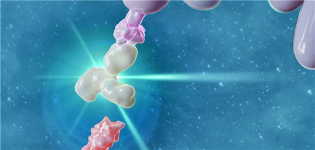 Prädiktion in der Immunonkologie mit Biomarkern