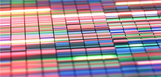 Das Beispiel Genomsequenzierung Das Beispiel Genomsequenzierung