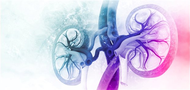 Lupusnephritis: aktuelle und zukünftige Konzepte Lupusnephritis: aktuelle und zukünftige Konzepte