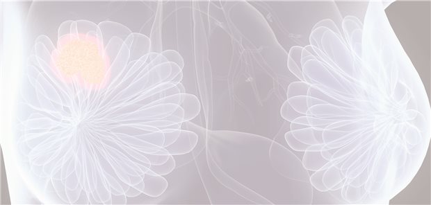 Versorgungsforschung: Neue Daten und hohe Evidenz für Palbociclib Versorgungsforschung: Neue Daten und hohe Evidenz für Palbociclib