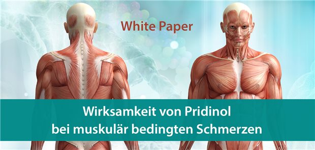 Pridinol bei muskulär bedingten Schmerzen