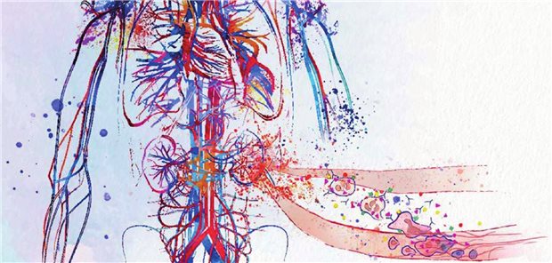 Neues evidenzbasiertes Therapieprinzip unterstützt Paradigmenwechsel im AAV-Management Neues evidenzbasiertes Therapieprinzip unterstützt Paradigmenwechsel im AAV-Management