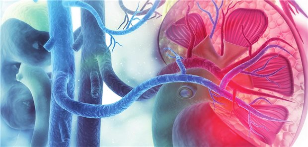 Neues zur AAV-Therapie: Therapieempfehlungen im Update und Behandlung im klinischen Alltag Neues zur AAV-Therapie: Therapieempfehlungen im Update und Behandlung im klinischen Alltag