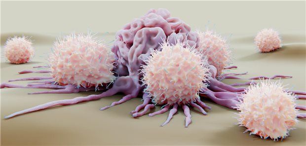 Immuntherapie: Verträglichkeit der Checkpoint-Inhibition Immuntherapie: Verträglichkeit der Checkpoint-Inhibition