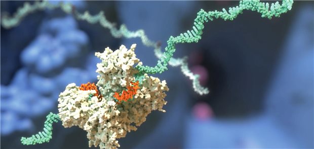 Von der Grundlagenforschung zu wegweisenden Therapien Von der Grundlagenforschung zu wegweisenden Therapien