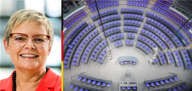 Abgeordnete im Porträt: Sabine Dittmar (SPD) Abgeordnete im Porträt: Sabine Dittmar (SPD)