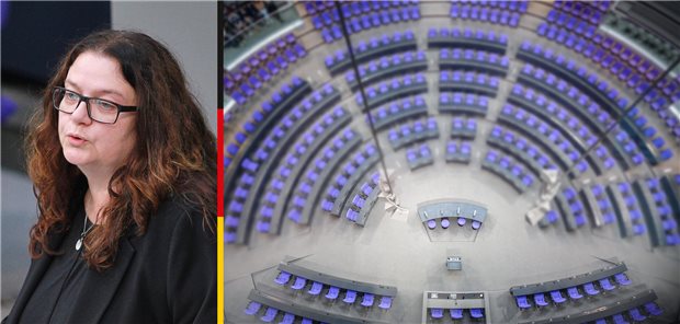 Abgeordnete im Porträt: Anja Troff-Schaffarzyk (SPD) Abgeordnete im Porträt: Anja Troff-Schaffarzyk (SPD)