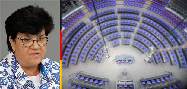 Abgeordnete im Porträt: Claudia Moll (SPD) Abgeordnete im Porträt: Claudia Moll (SPD)