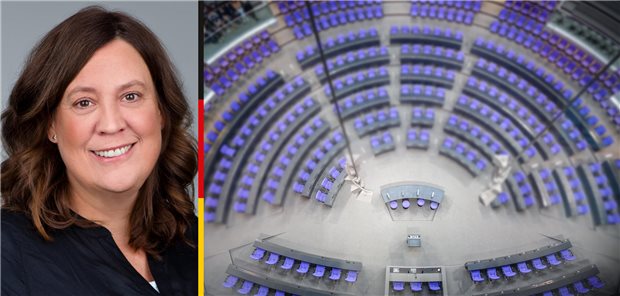 Abgeordnete im Porträt: Julia-Christina Stange (Die Linke) Abgeordnete im Porträt: Julia-Christina Stange (Die Linke)