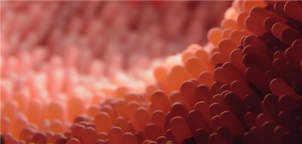 Multimodaler Ansatz zur Regeneration der Darmbarriere Multimodaler Ansatz zur Regeneration der Darmbarriere