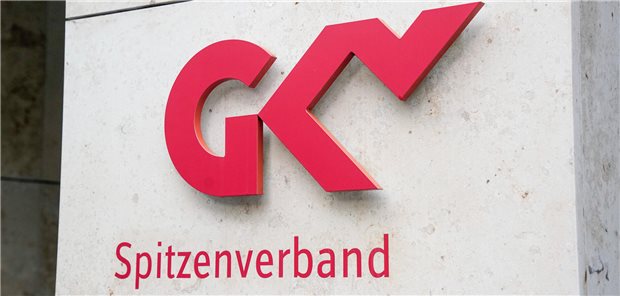 Arzneimittelversorgung in der EU: Status und Ausblick aus Sicht der GKV