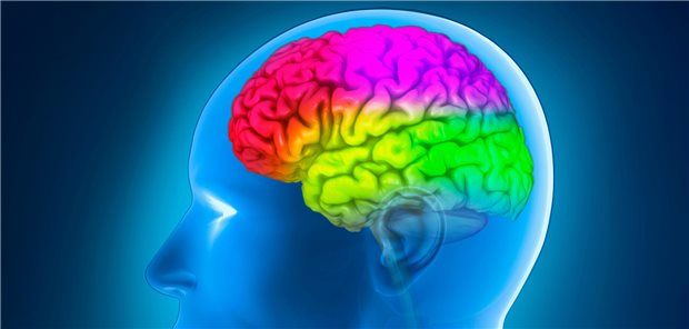 Gedächtnistraining für die Praxis: Tipps, wie Sie Ihre grauen Zellen aktivieren