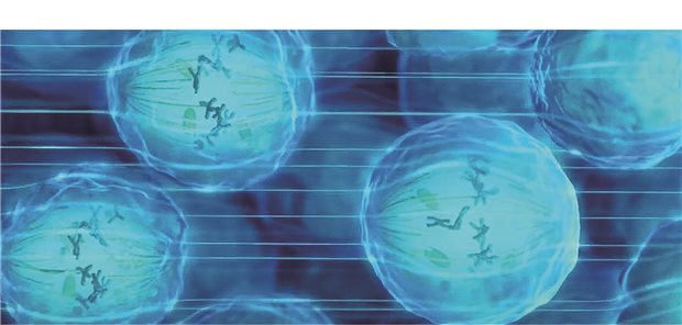 Wirksamkeit der TTFields-Therapie Wirksamkeit der TTFields-Therapie