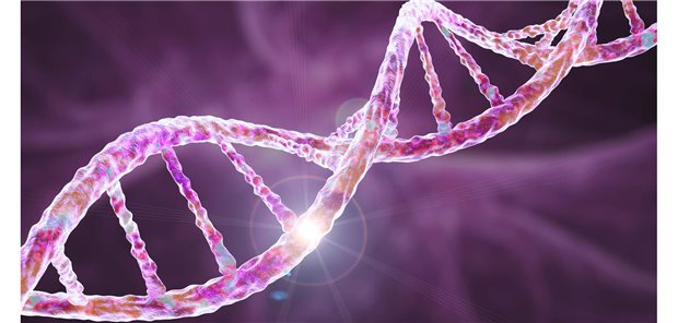 Neue Ansätze zur Behandlung seltener Krankheitsbilder