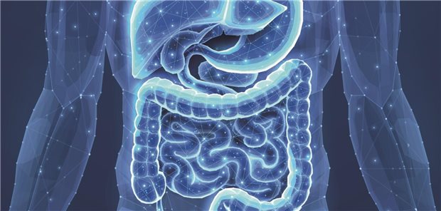 Mirikizumab wirksam bei Colitis ulcerosa und Morbus Crohn