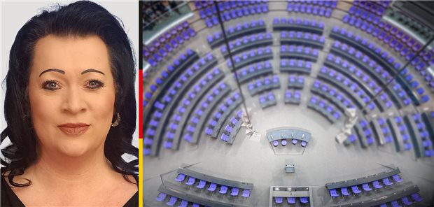 Abgeordnete im Porträt: Birgit Bessin (AfD) Birgit Bessin (AfD)