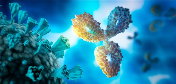 Dreidimensionale Illustration eines Antikörpers und eines Viruspartikels.