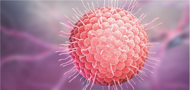 Zoster-Impfempfehlung für Senioren und chronisch Kranke! Darstellung eines Zoster-Virus: Die STIKO spricht sich nun für die Impfung in Risikogruppen aus.