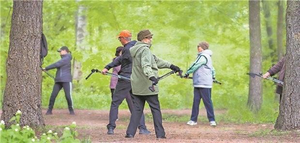 pAVK-Therapie konservativer denn je Eine Gruppe von älteren Personen steht im Wald. Alle Personen halten Nordigwalking-Stöcke in den Händen und machen eine Übungen zur Mobilisation der Beine.