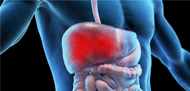 Leber- und Gallenblasenkrebs: Empfehlungen zu medikamentösen Therapien wurden angepasst Das Hepatozelluläre Karzinom ist die häufigste Form von Leberkrebs und zählt mit rund 9.800 Neuerkrankungen pro Jahr zu den seltenen Krebserkrankungen.