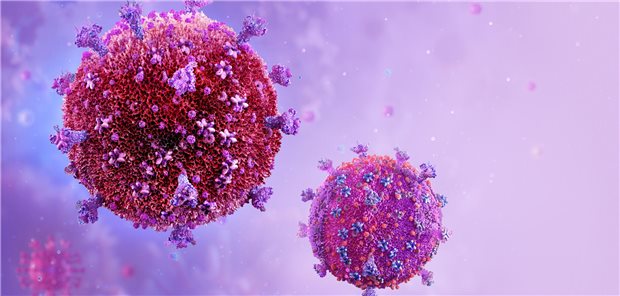 Das Humane Immundefizienz-Virus ist ein Virus, welches an den CD4-Rezeptor von T-Zellen bindet und eine Immundefizienz auslöst.