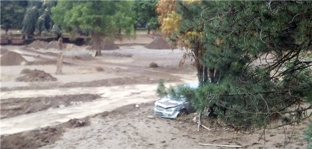 Das war einmal ein Park – ohne schrottreife Autos.