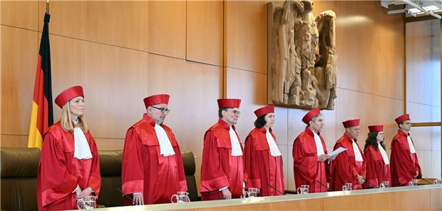 Bundesverfassungsrichter stehen nebeneinander