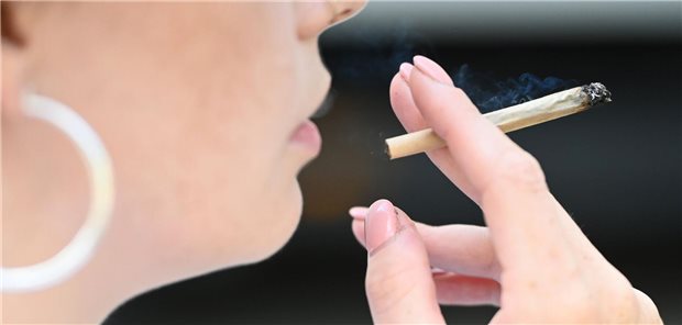 Bericht zum Cannabisgesetz: Noch kein Verdrängen des Schwarzmarkts Die Cannabis-Teillegalisierung hat den Schwarzmarkt noch nicht verdrängt, heißt es in einem in Berlin vorgestellten Bericht.