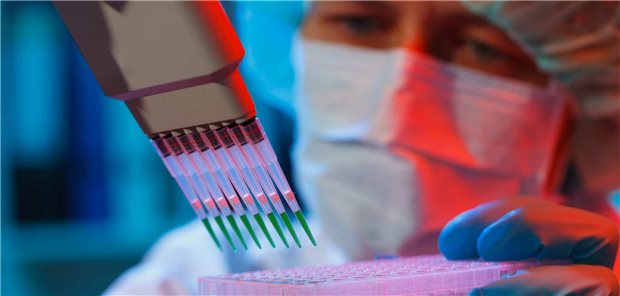 Die Deutsche Krebshilfe fördert drei Projekte der „Präklinischen Wirkstoffentwicklung“. (Symbolbild)