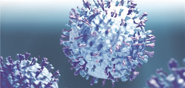 RSV-Impfung wirkt offenbar auch bei Immunsupprimierten 3D-Darstellungen von Respiratorischen Synzytialviren.