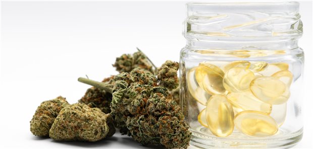 Cannabidiol reduziert wohl das Verlangen nach Alkohol CBD-Kapseln in einem kleinen Gläschen, daneben liegt Marihuana.