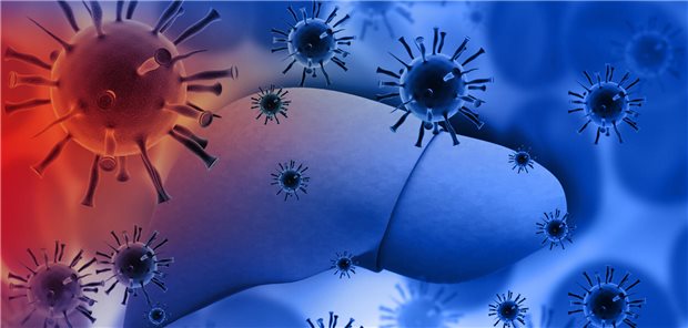 Wie viele Hepatitits-Fälle es 2024 in den einzelnen Bundesländern gab Illustration einer Leber mit Viruspartikeln