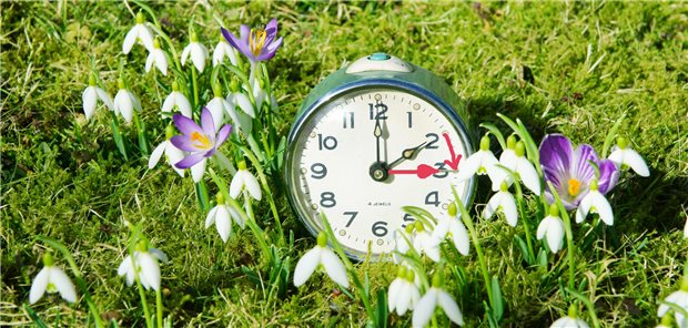 Im Frühjahr wird die Zeit umgestellt.