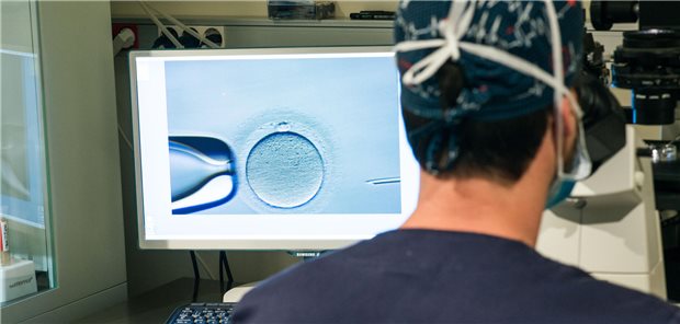 Ein Embryologe befruchtet unter dem Mikroskop mit einer Mikropipette eine Eizelle.
