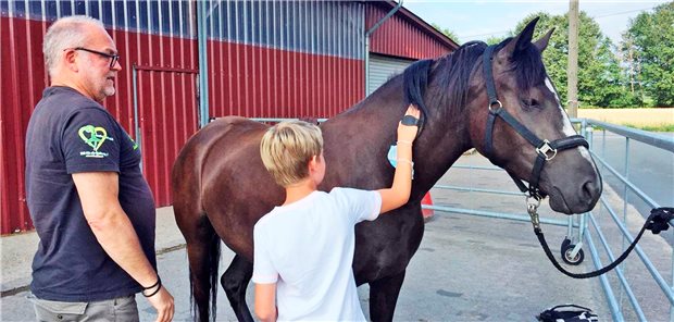 Ein Pferd schafft Vertrauen: Der Verein „Soulbuddies“ hat viele Angebote für junge Menschen in psychischer Not. 