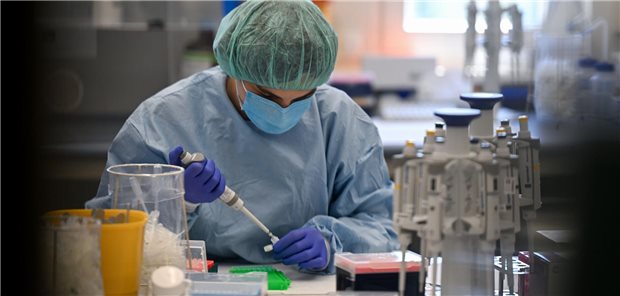 Vertrauliche Spurensicherung nach Gewalt wird Kassenleistung in Hessen Eine Biologisch-technische Assistentin entnimmt im Institut für Rechtsmedizin des Klinikums der Frankfurter Goethe-Universität eine DNA-Probe.